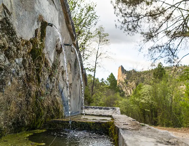 Foto Alto Tajo